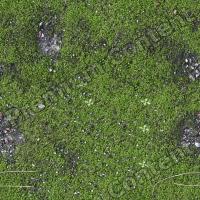 High Resolution Seamless Moss Texture 0001